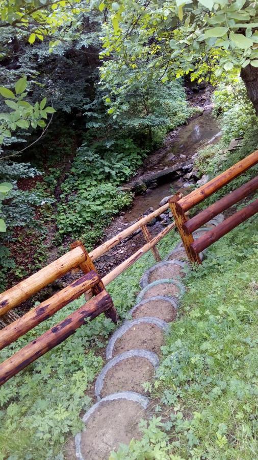 Садиба Над Потічком Oriv Exteriér fotografie